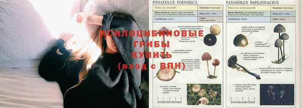 каннабис Алагир