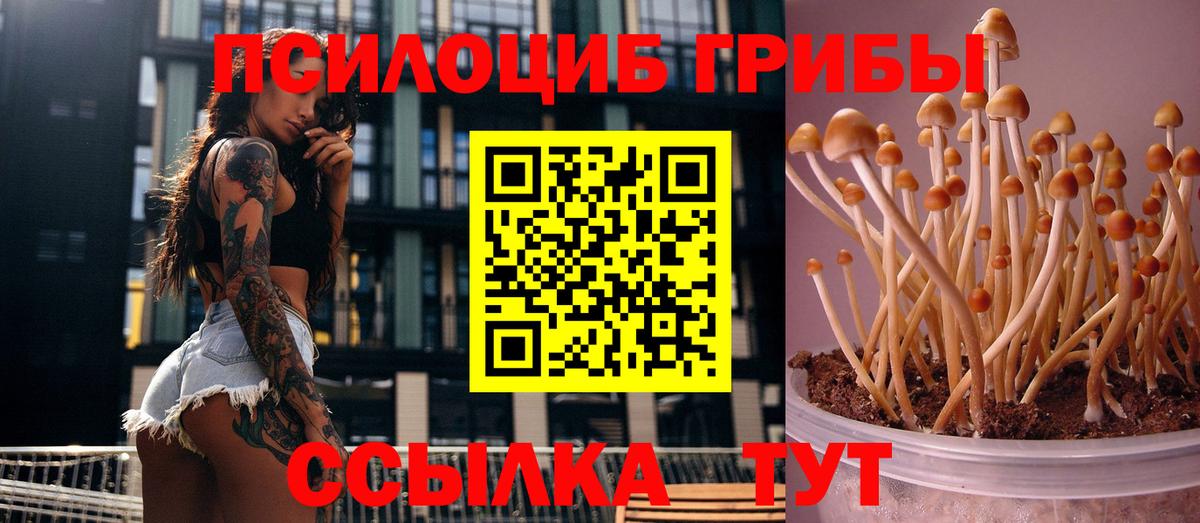 Псилоцибиновые грибы MAGIC MUSHROOMS Геленджик