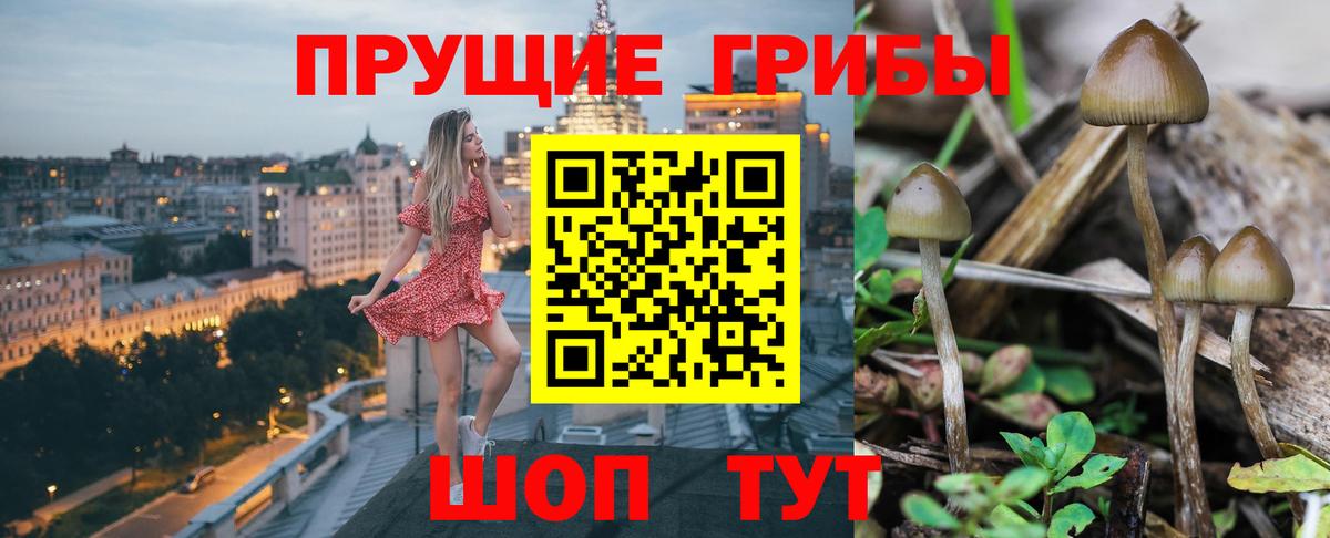 Галлюциногенные грибы Magic Shrooms  Галлюциногенные грибы ЛСД  Геленджик  Вход с VPN 